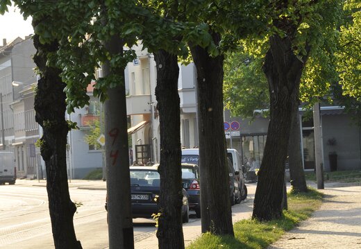 MARASIGN 090425a0102 brb 3668842647 o