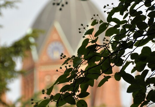 MARASIGN 1005221729041 4688432567 o