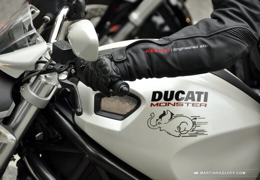 MARASIGN 1005091120331 4595753979 o