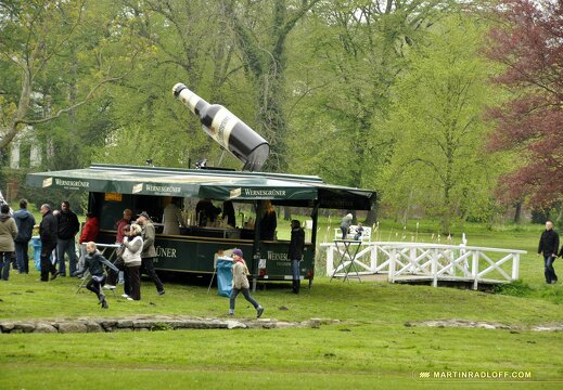 MARASIGN 1005091137161 4595781441 o